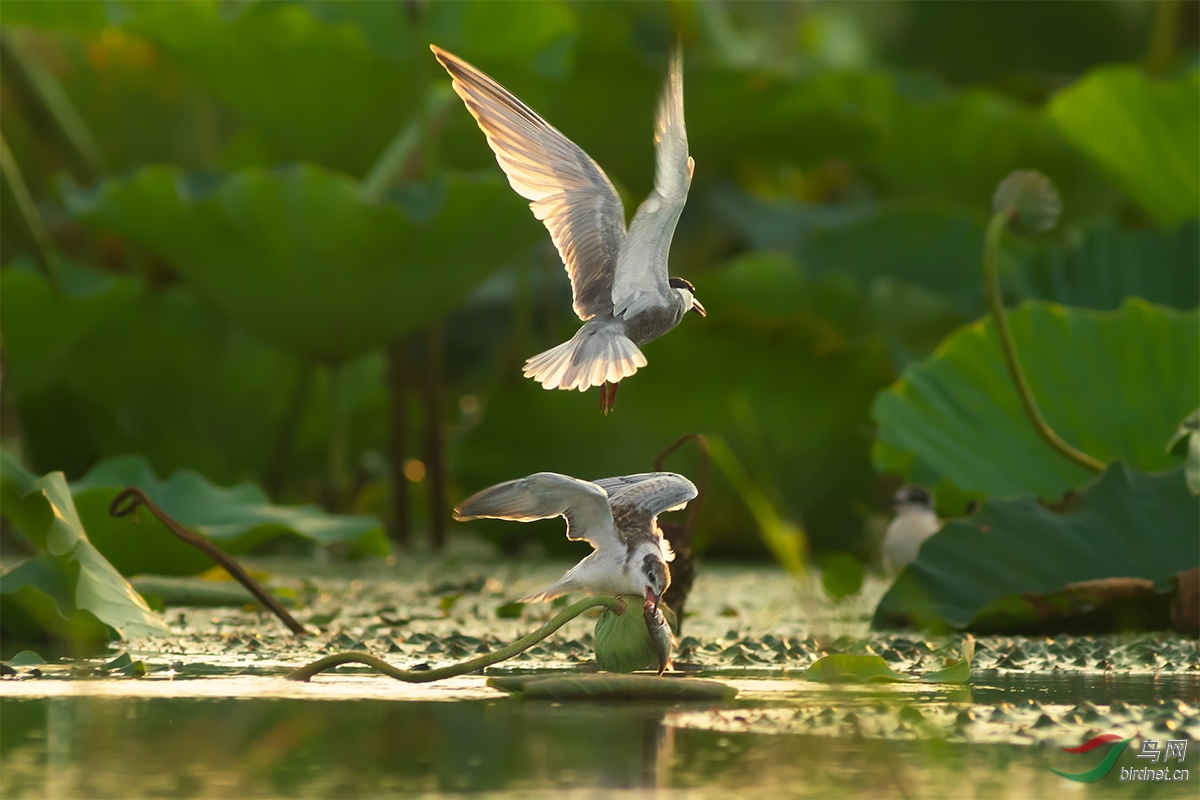 ���������20190810_0923-1.jpg