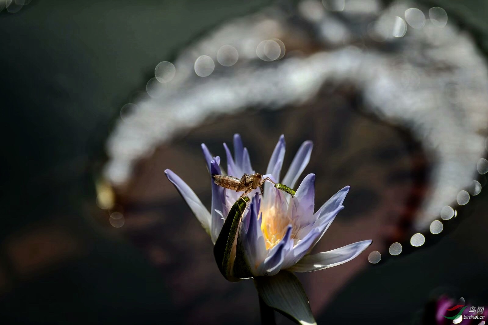 1ADCD894-A2F5-47C7-8147-B5354F3F5AB8.jpeg