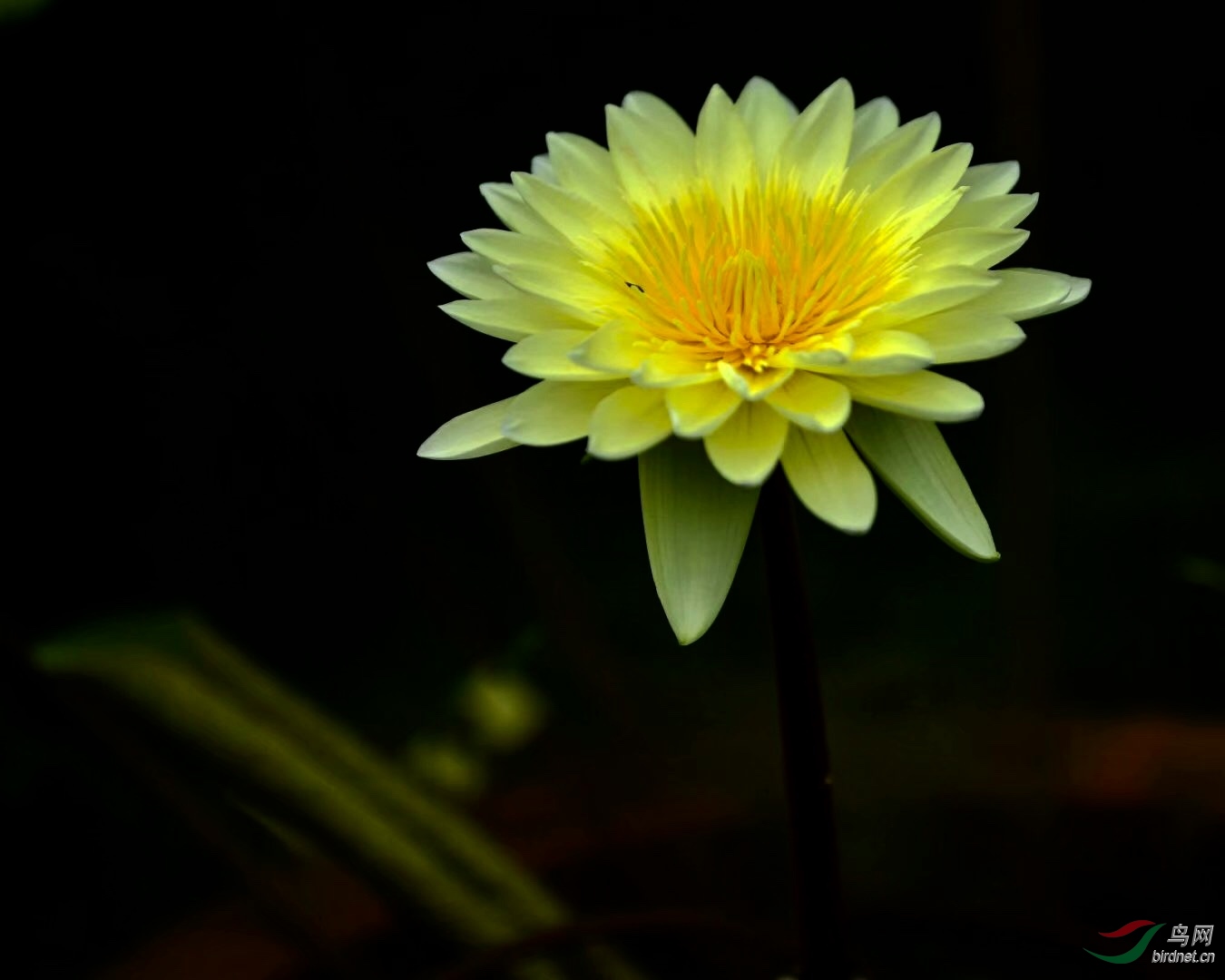 7561C203-B46F-48BB-80F1-5E1DE13DD9D9.jpeg