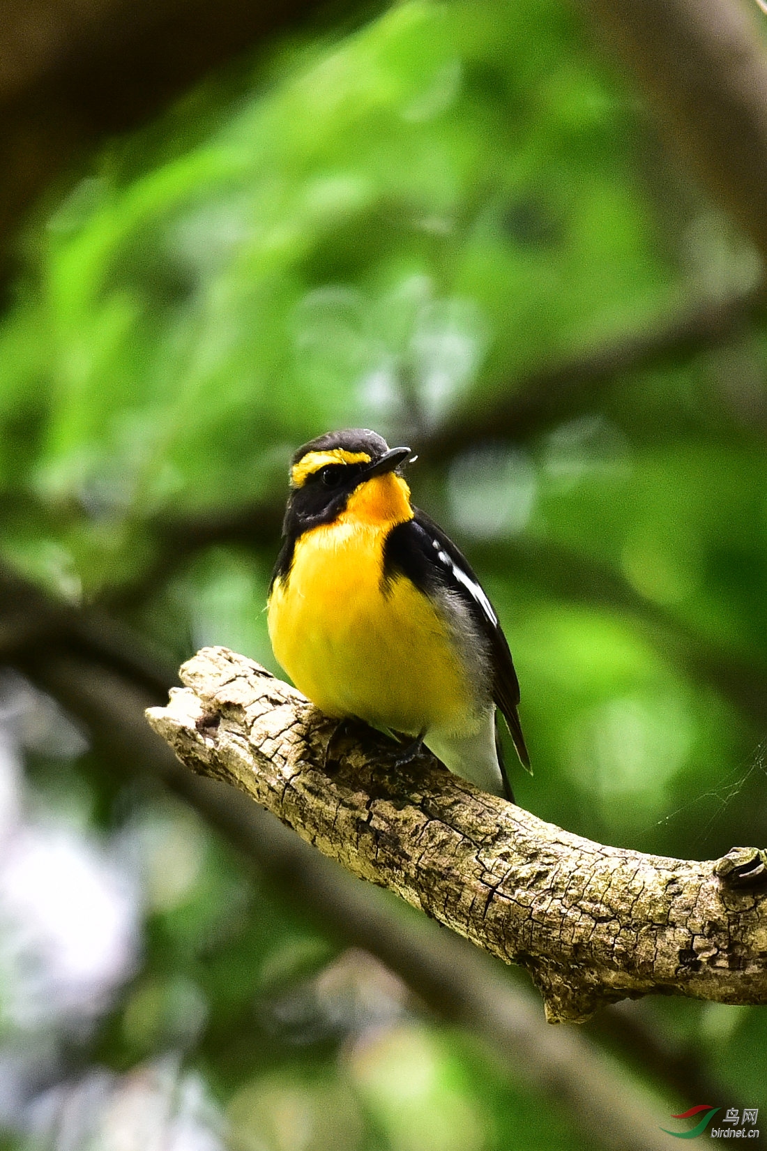 DSC_0764.JPG