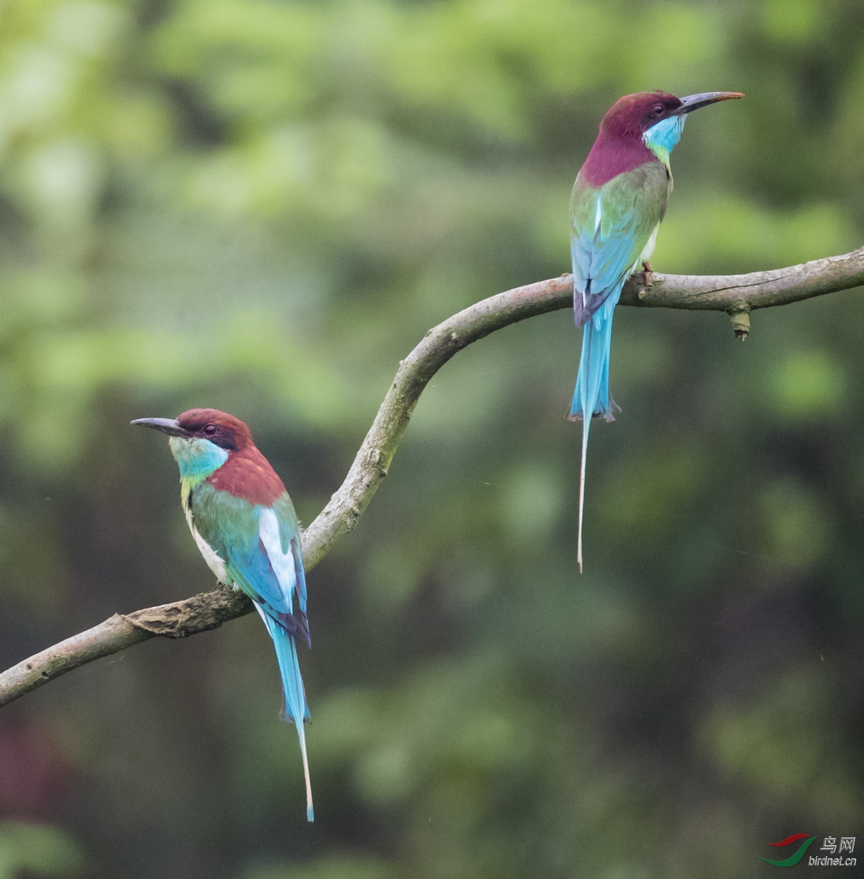 _F4I0405-1_������Σ������仢 ���Ϻⶫ��.JPG