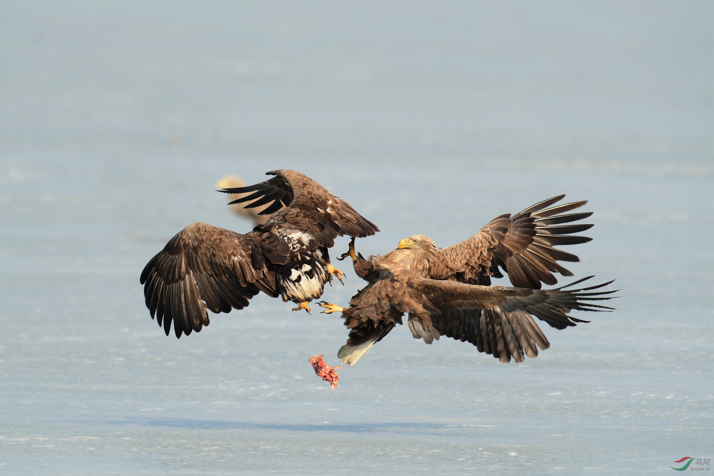 DSC_1757.JPG