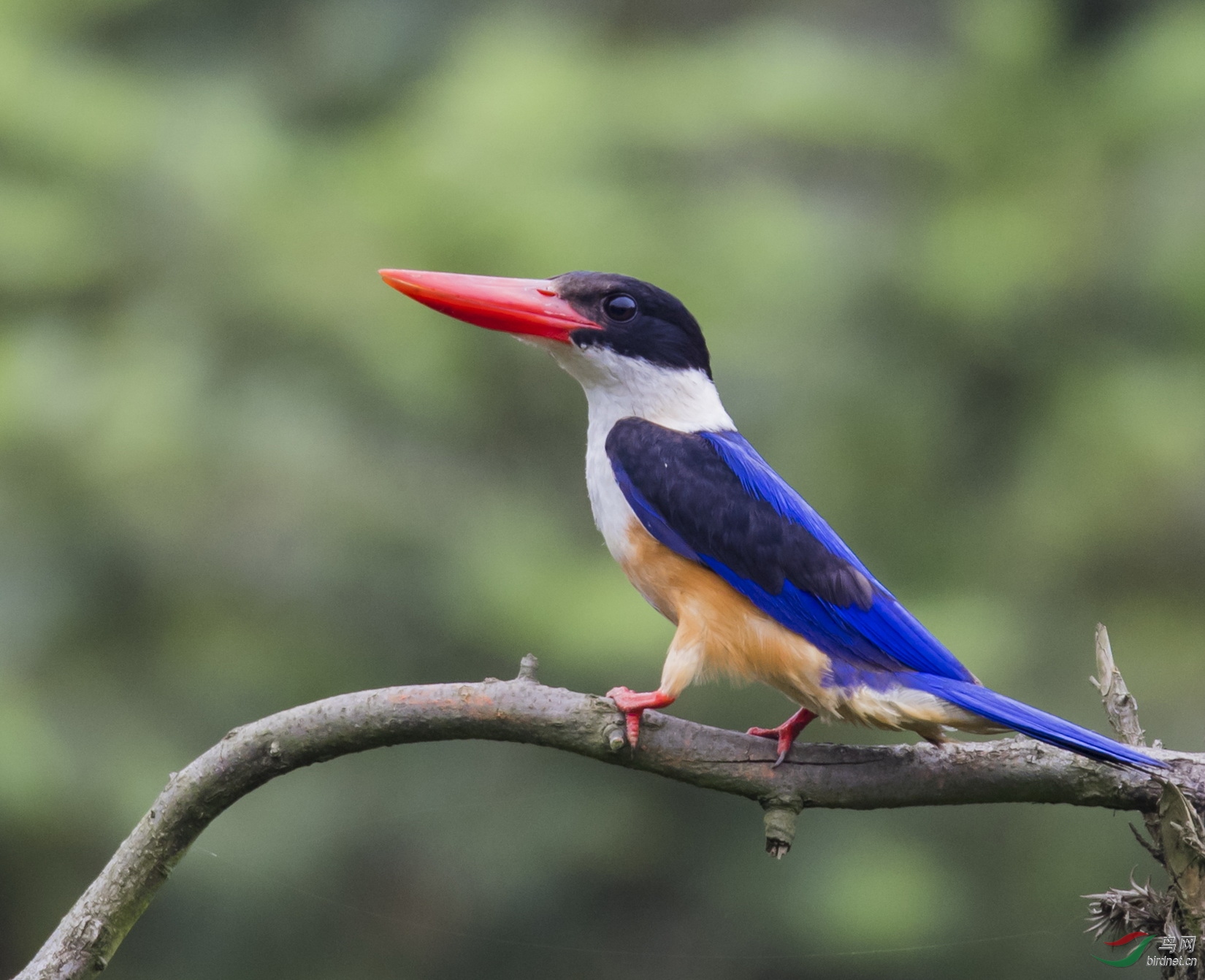 _F4I0562-1_��׼�� ������� ���Ϻⶫ��.JPG