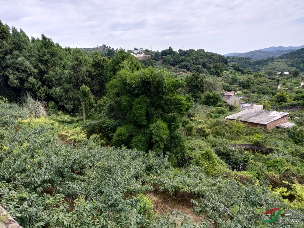 ΢��ͼƬ_20190809153815-1b.JPG