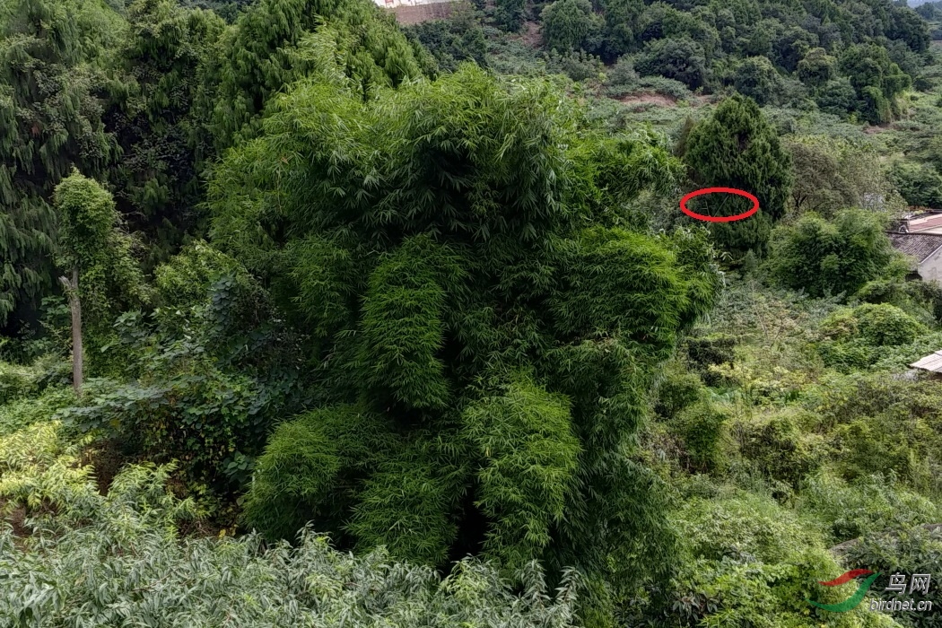 ΢��ͼƬ_20190809153815-2.JPG