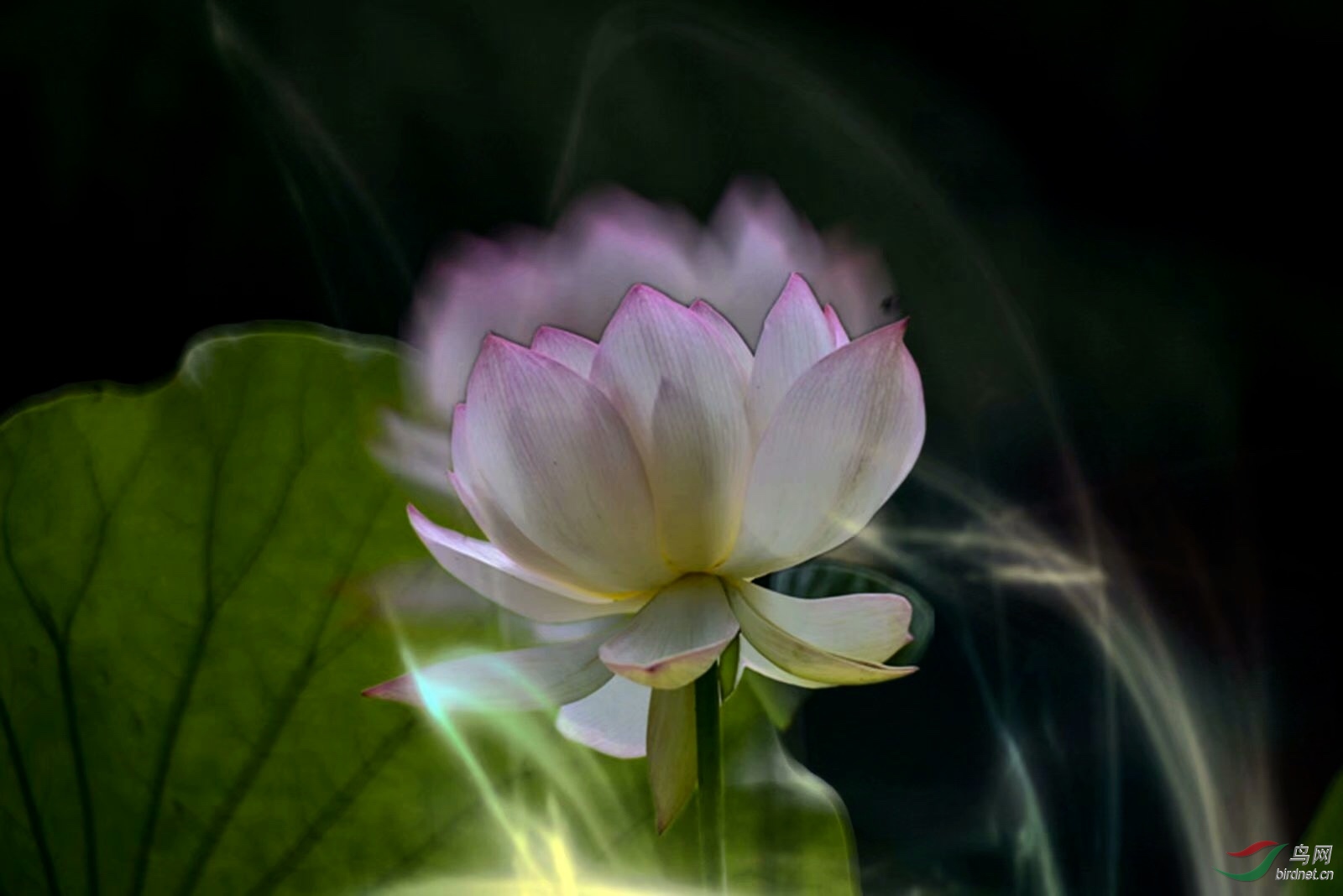 6D75D152-A05E-44F8-BB75-9CBE5A89502C.jpeg