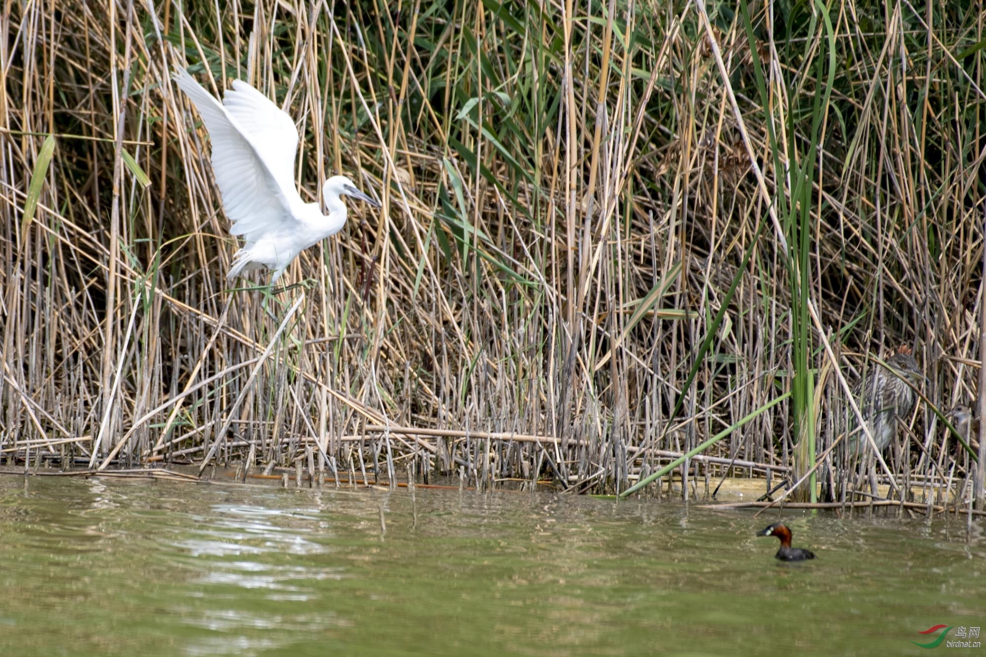D85_8355.jpg
