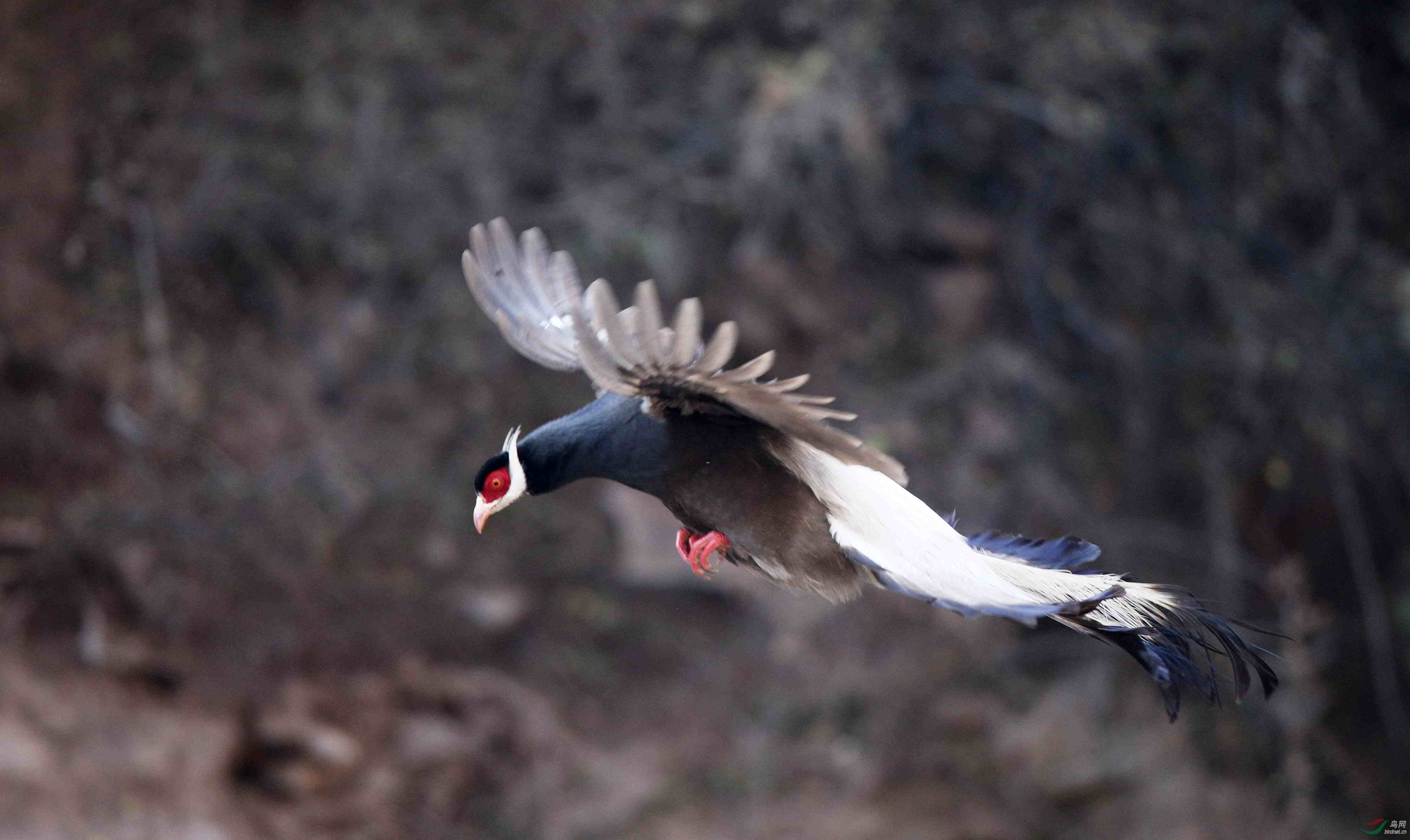 H46R3775_���� (2).jpg