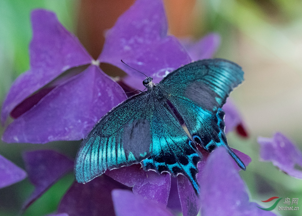 _K8I1521  01_����.jpg