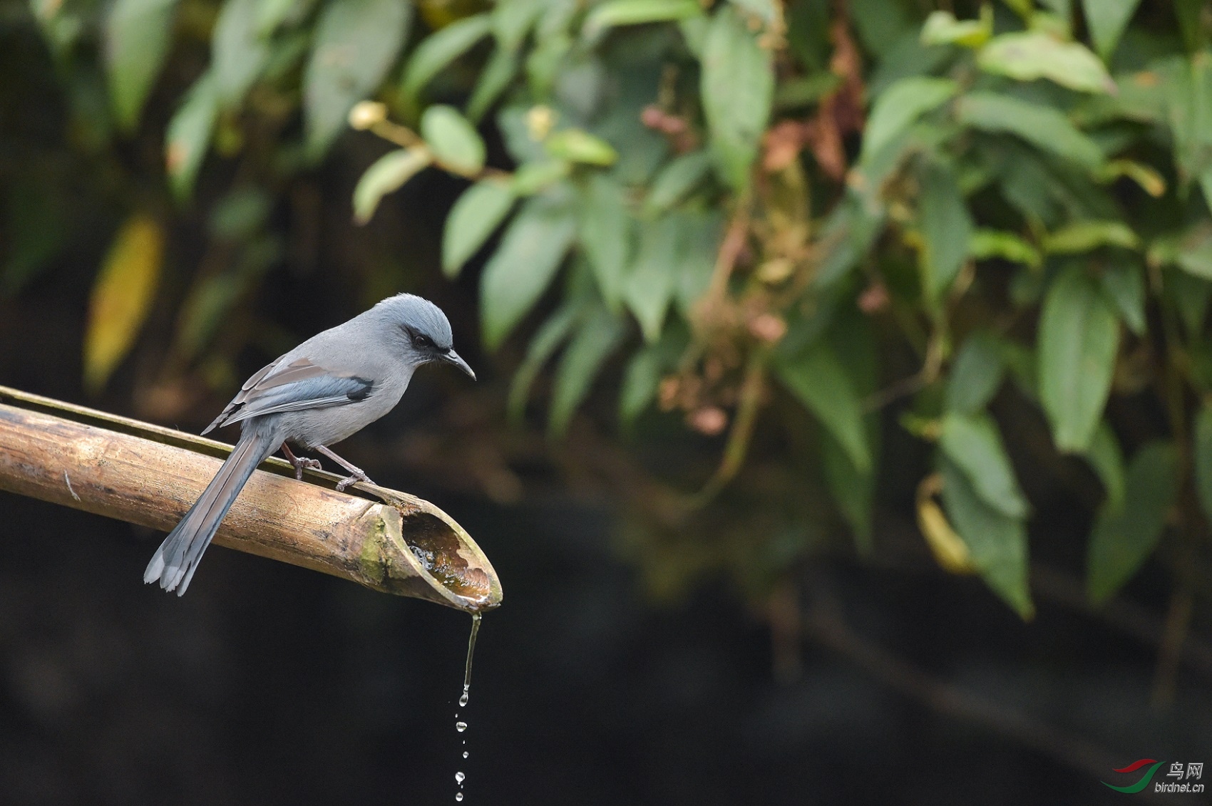 TJP_3508 - ����.jpg