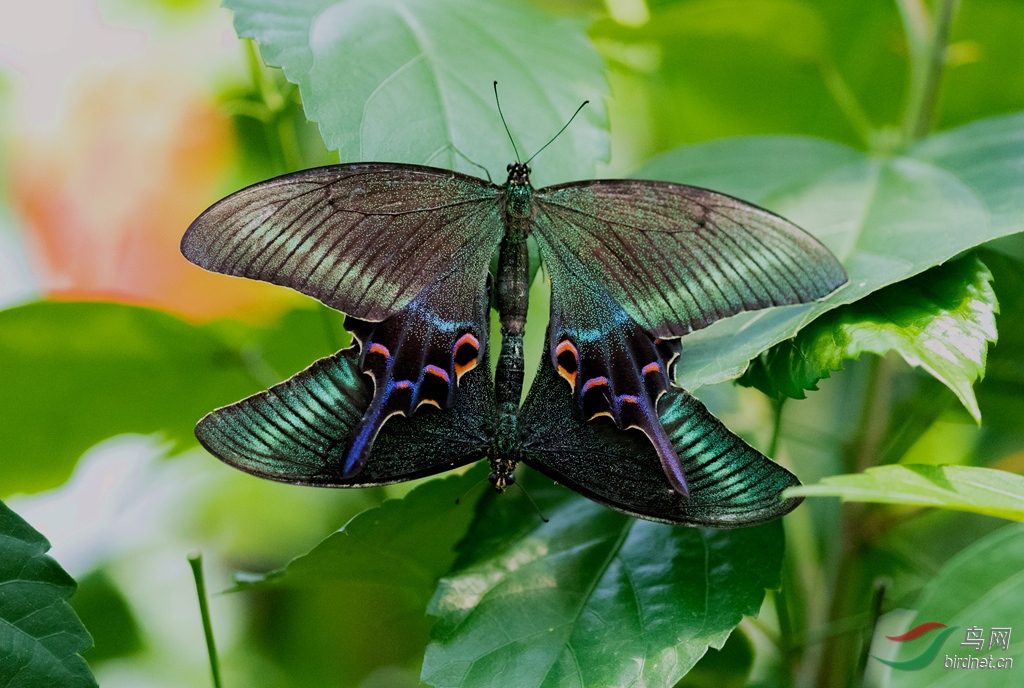 _K8I1529  01_����.jpg