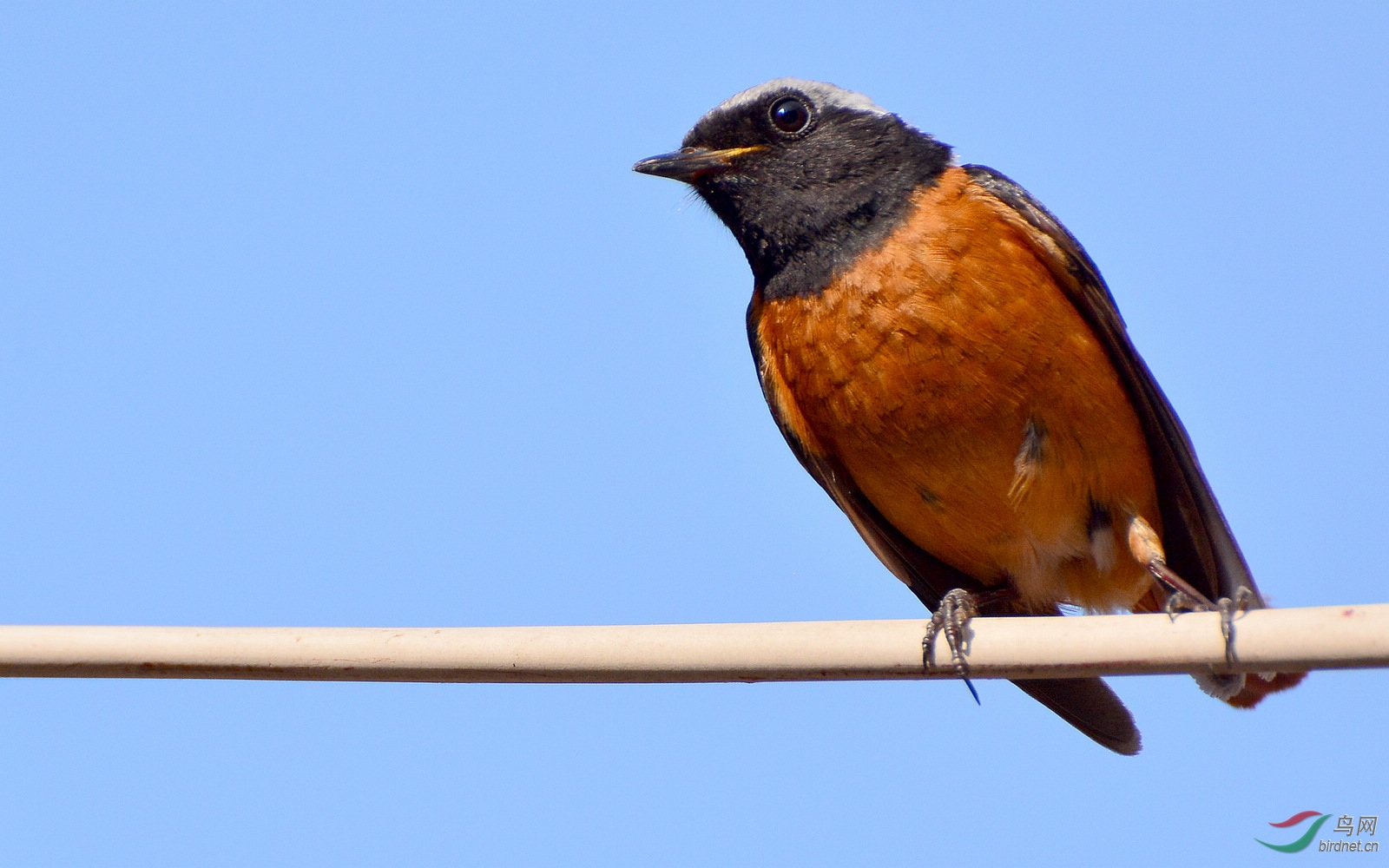 DSC_8564.JPG