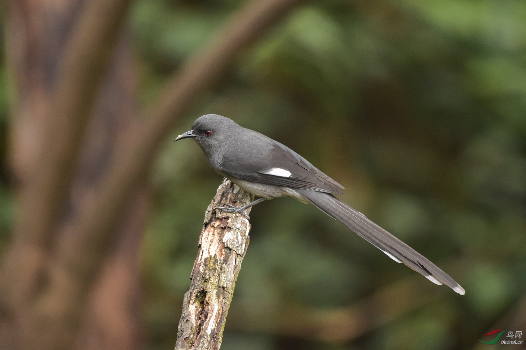 TJP_4049 - ����.jpg