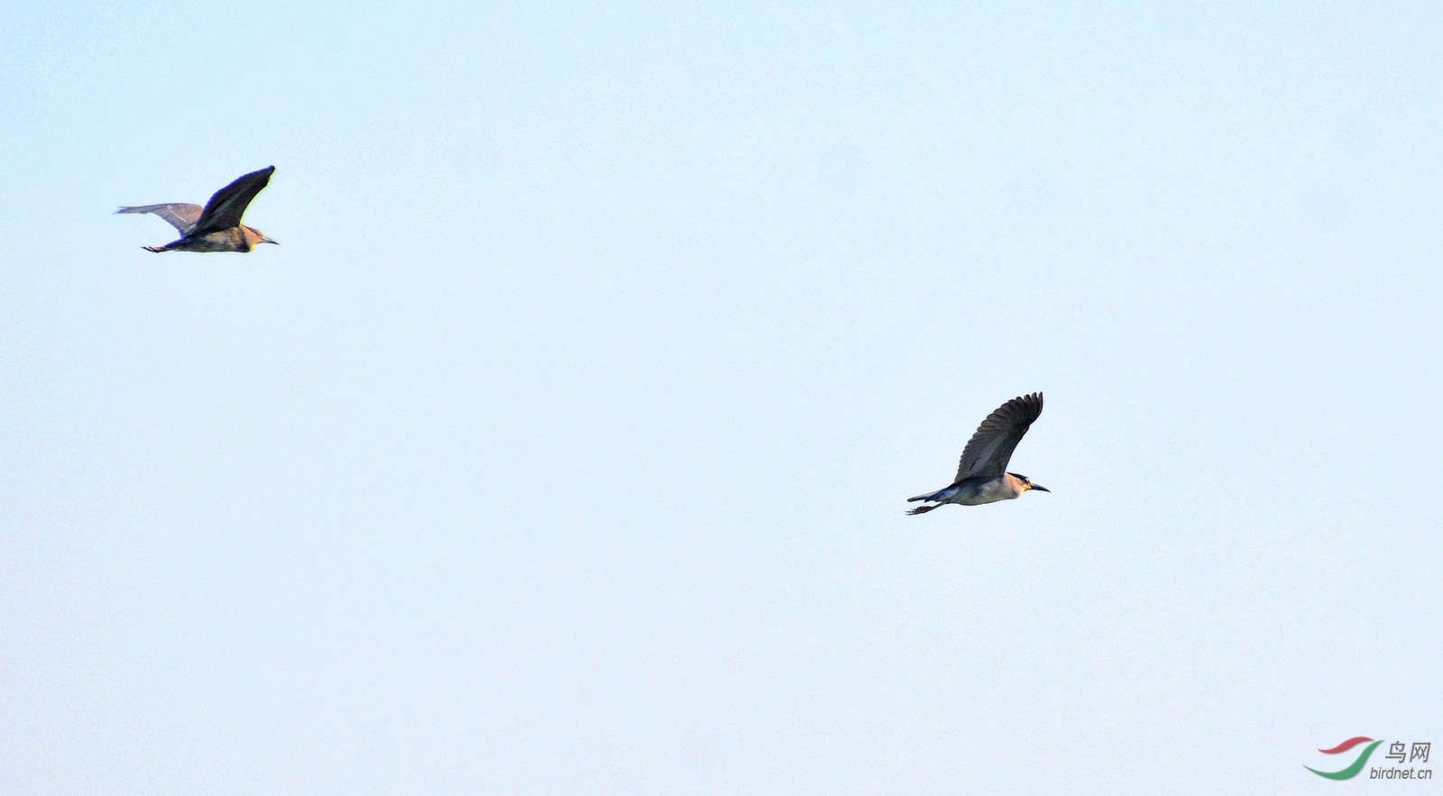 DSC_0844.JPG