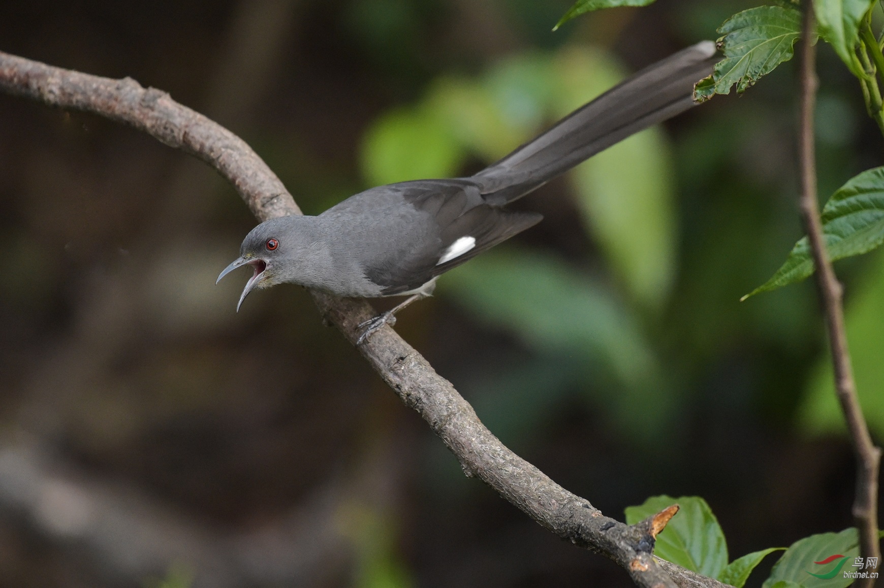 TJP_4087 - ����.jpg