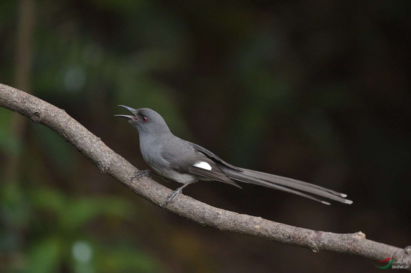 TJP_4107 - ����.jpg