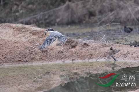 20180224-DSC01015.jpg