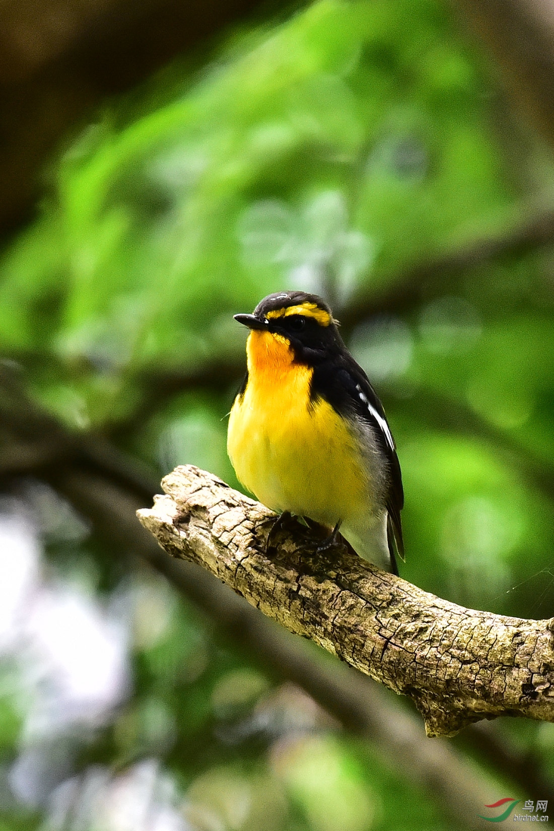 DSC_0772.JPG