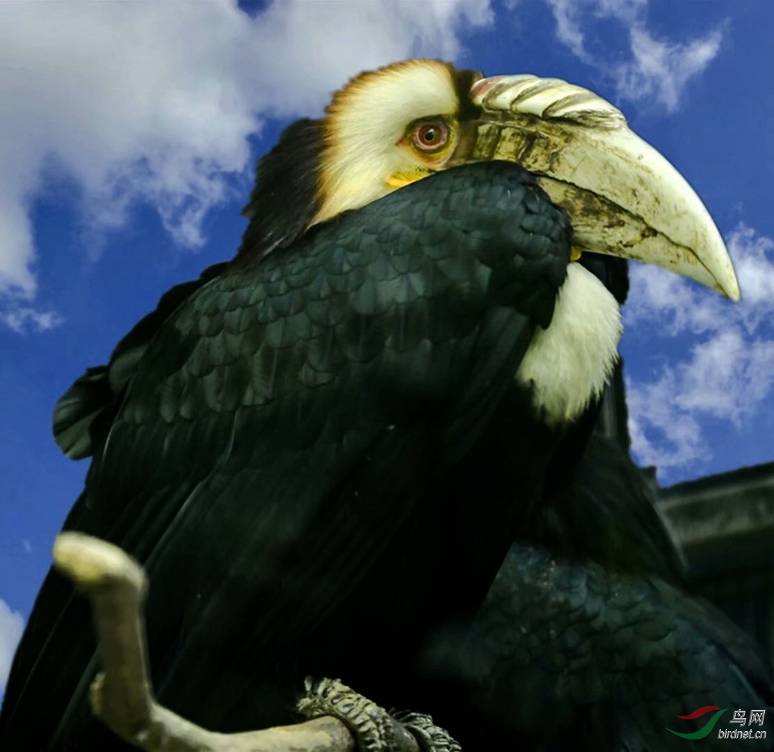 A27814FF-0561-478F-82E0-D58D14FA15F7.jpeg