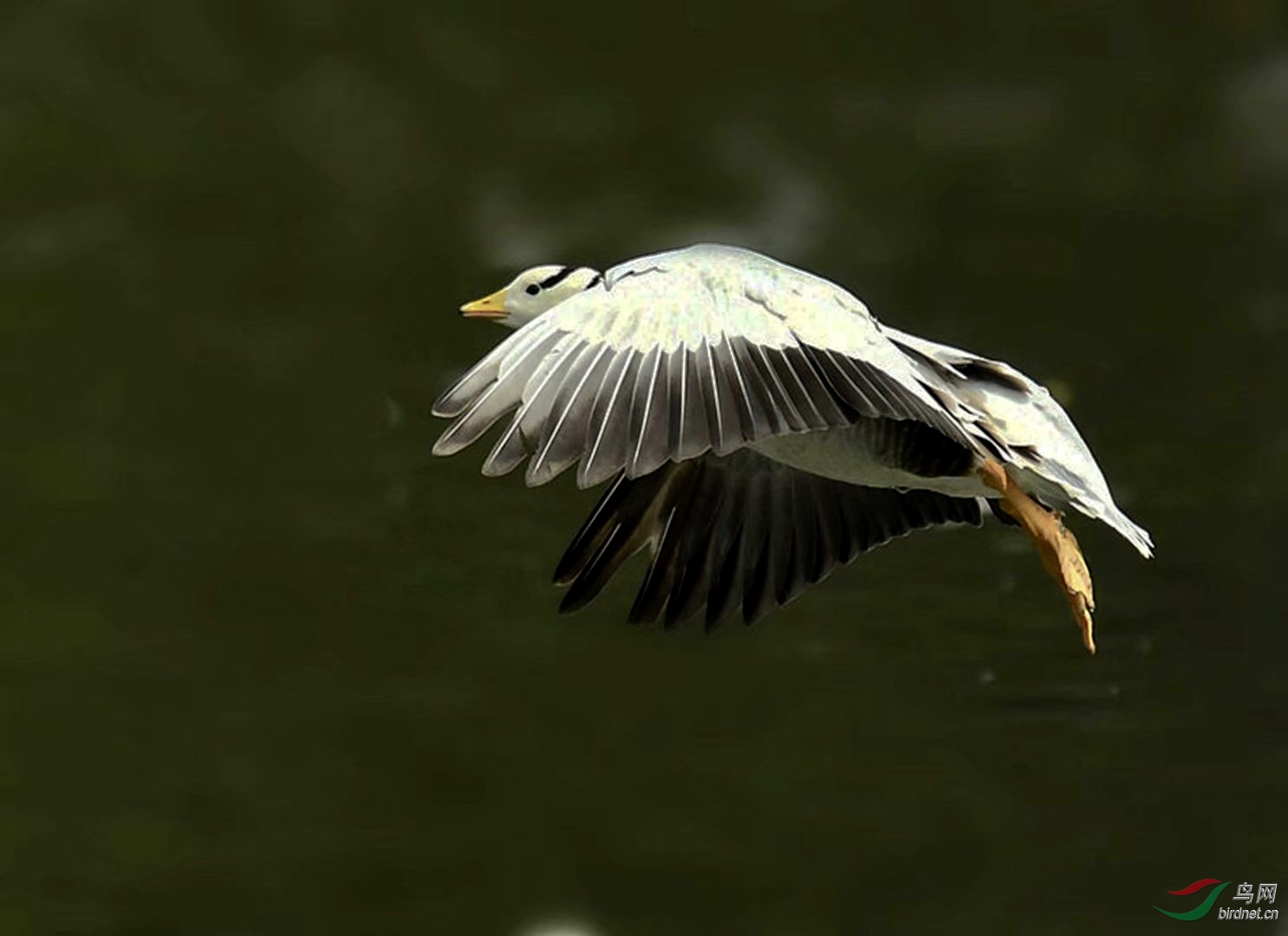 BFE790AF-F0D2-4E70-AE03-A08DEF691F66.jpeg