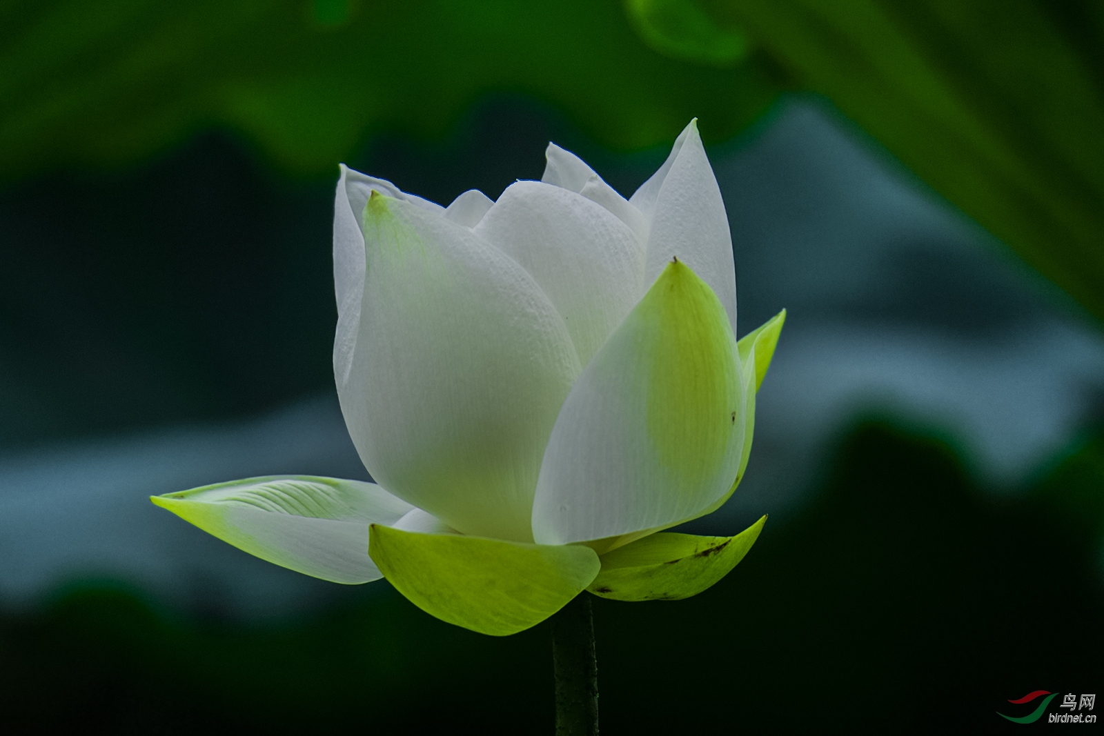 _D5S9718_7833a.jpg