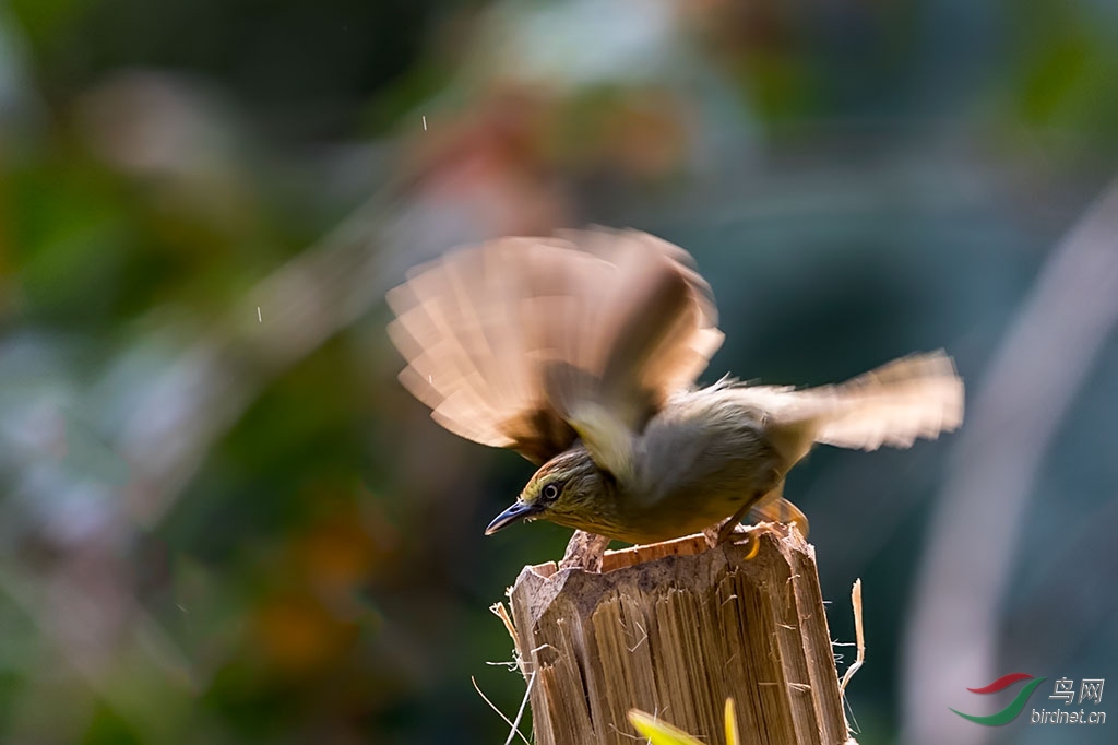 yj180226_1688 ����.jpg