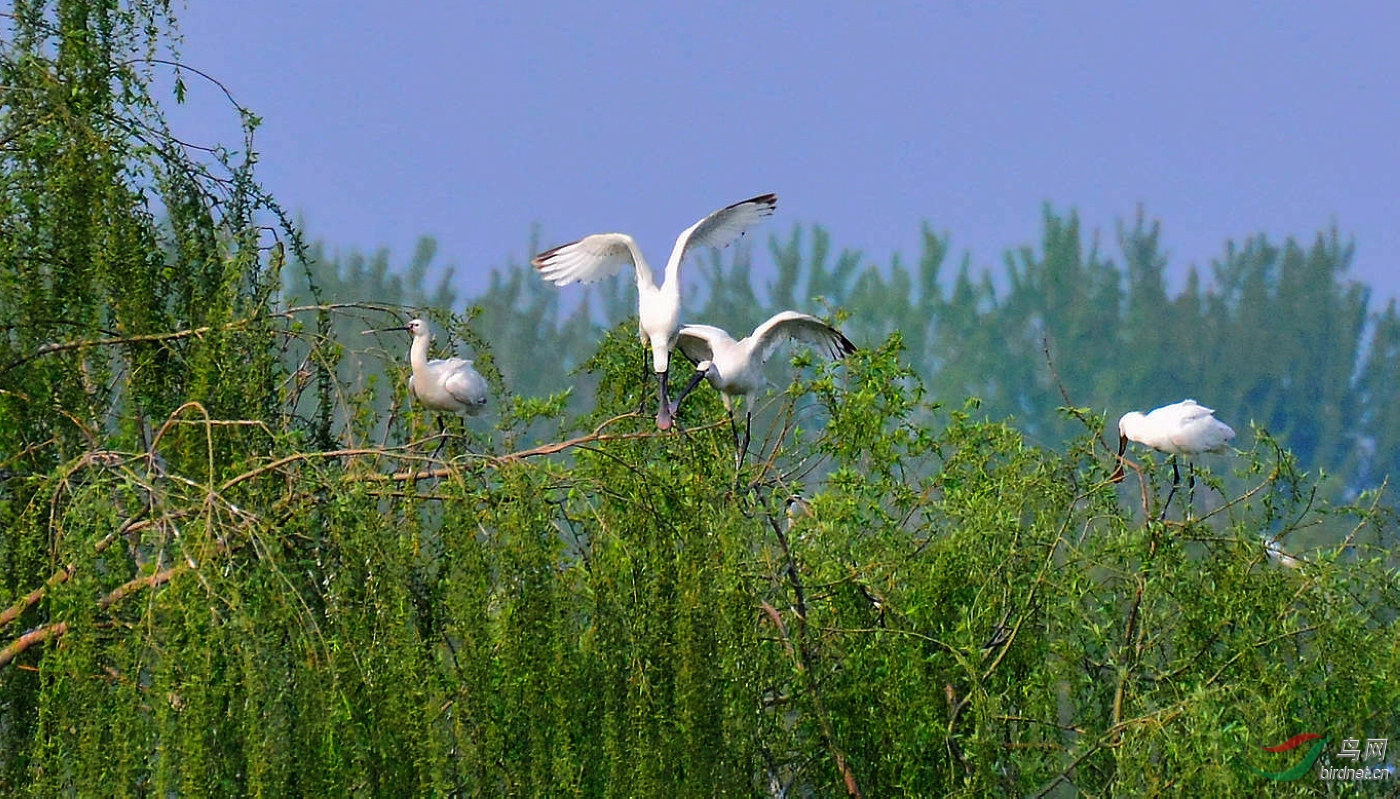 DSC_6270.JPG
