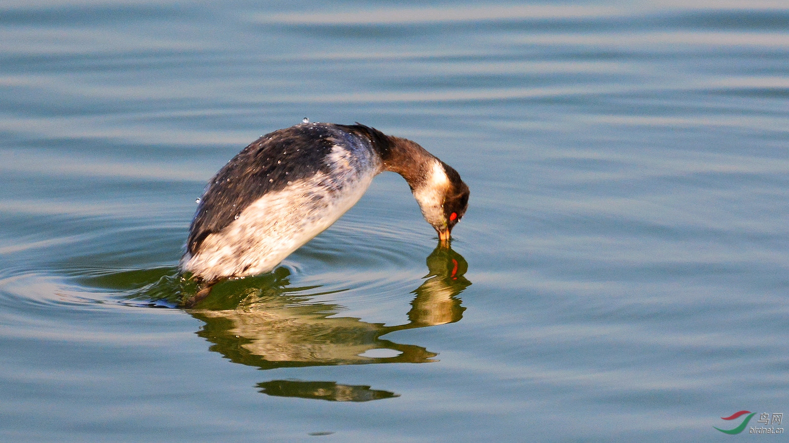 DSC_6434.JPG