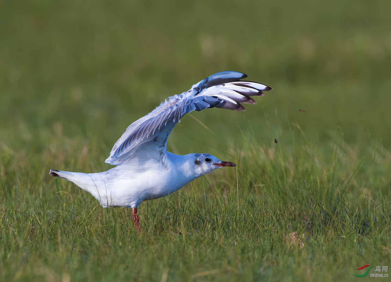 DSC_6652.jpg