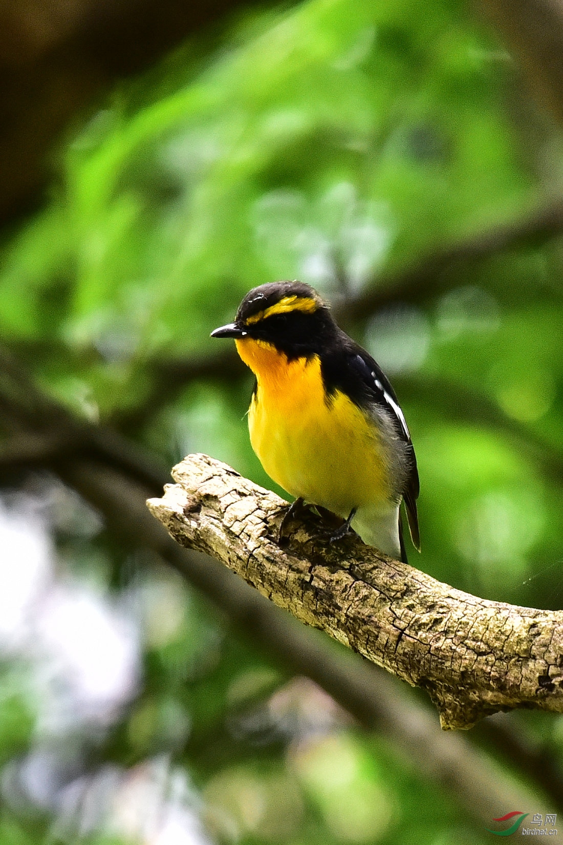 DSC_0776.JPG