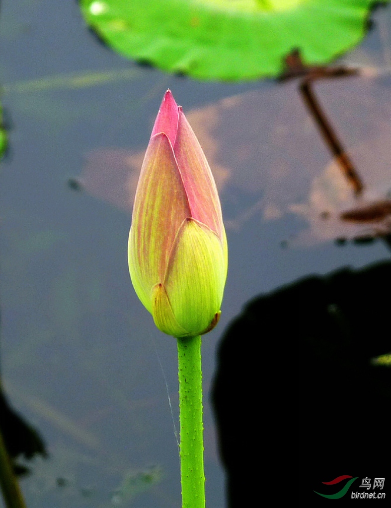 P1010688.JPG