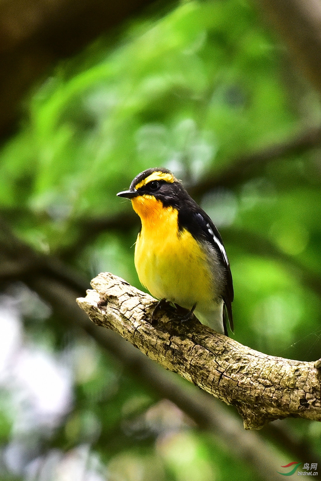 DSC_0778.JPG