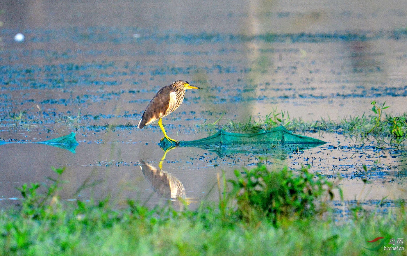 DSC_8053.JPG