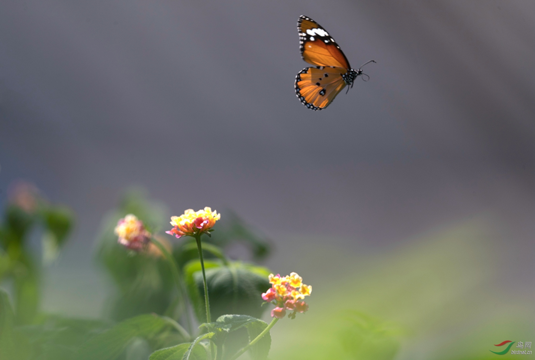 _K8I2749  01_����.jpg