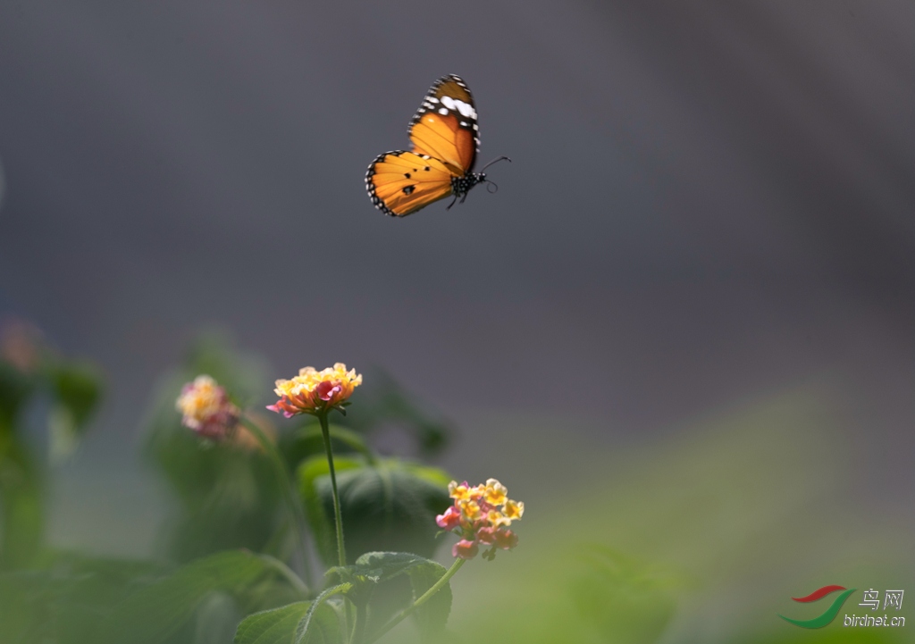 _K8I2748  01_����.jpg