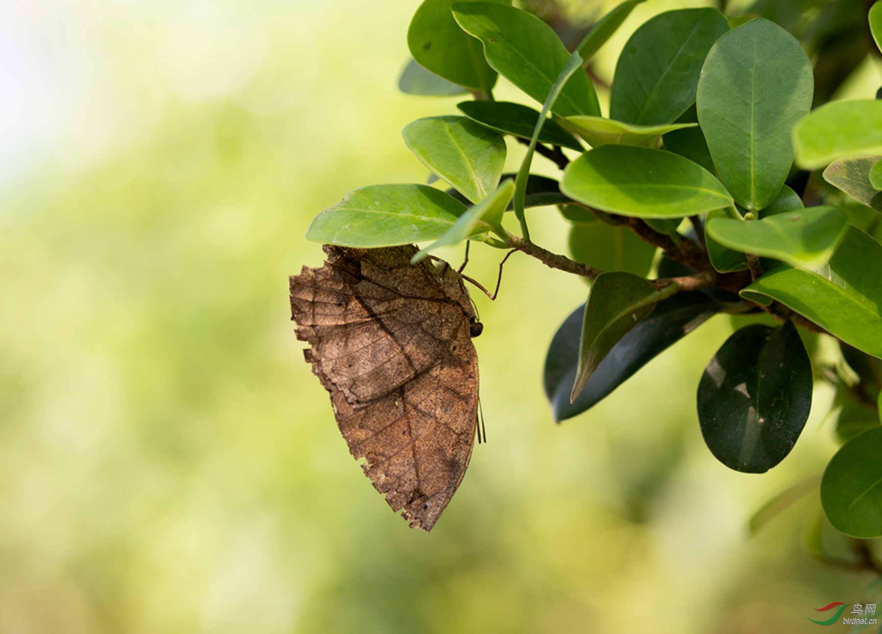 _K8I2606  01_����.jpg