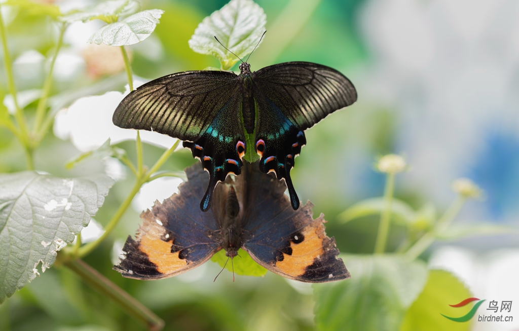 _K8I1539  01_����.jpg