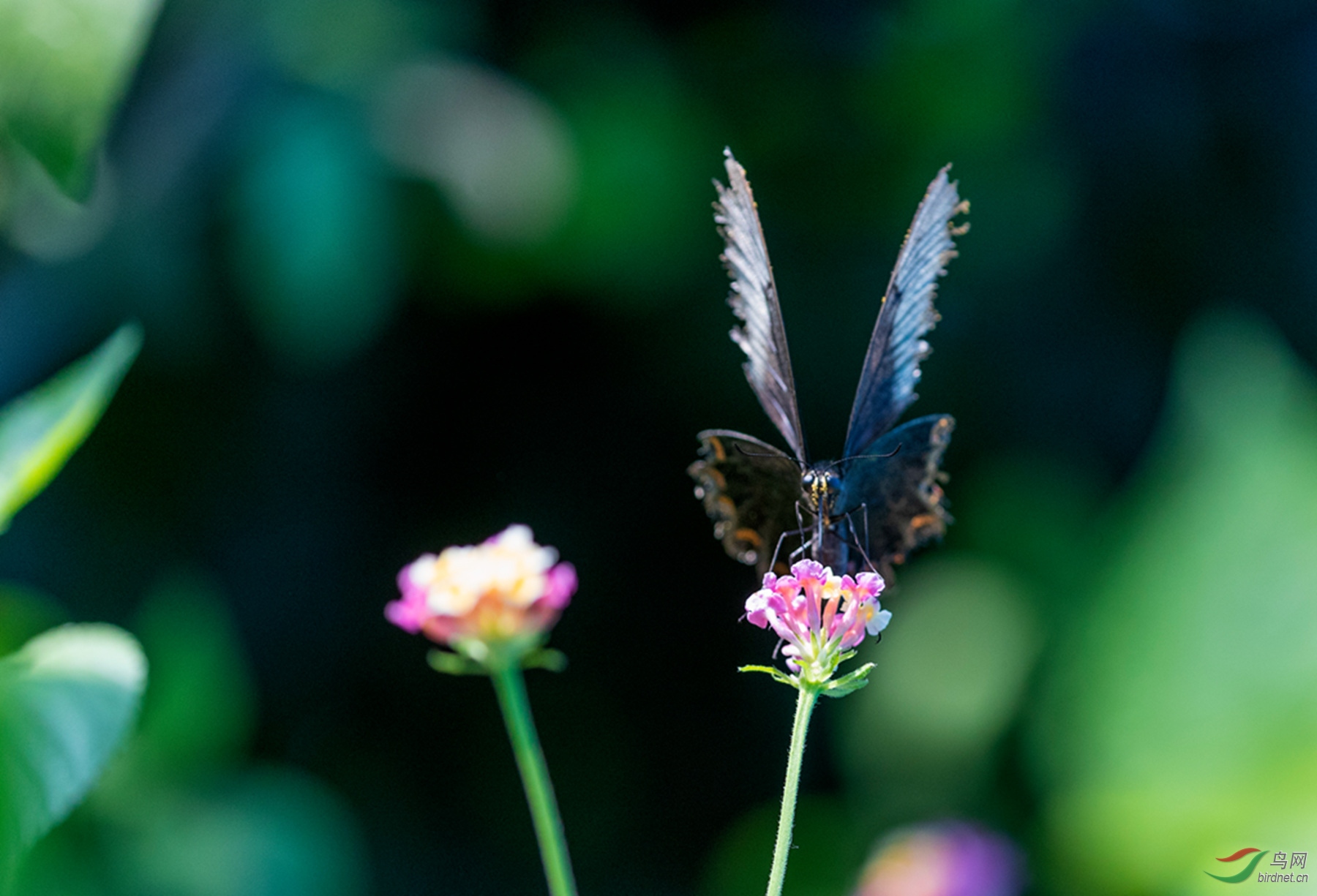 _K8I1341  01_����.jpg