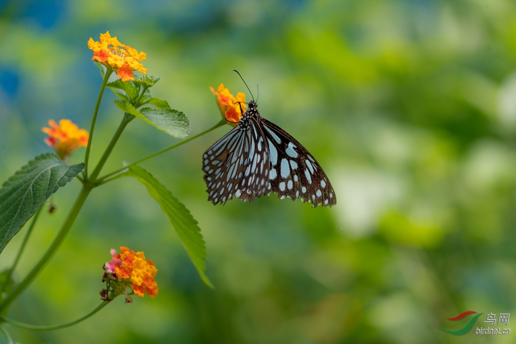 _K8I1837  01_����.jpg