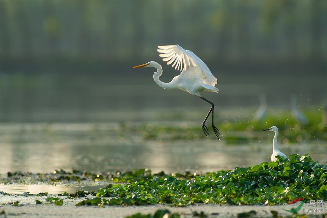 �����20190817_2464-1.jpg