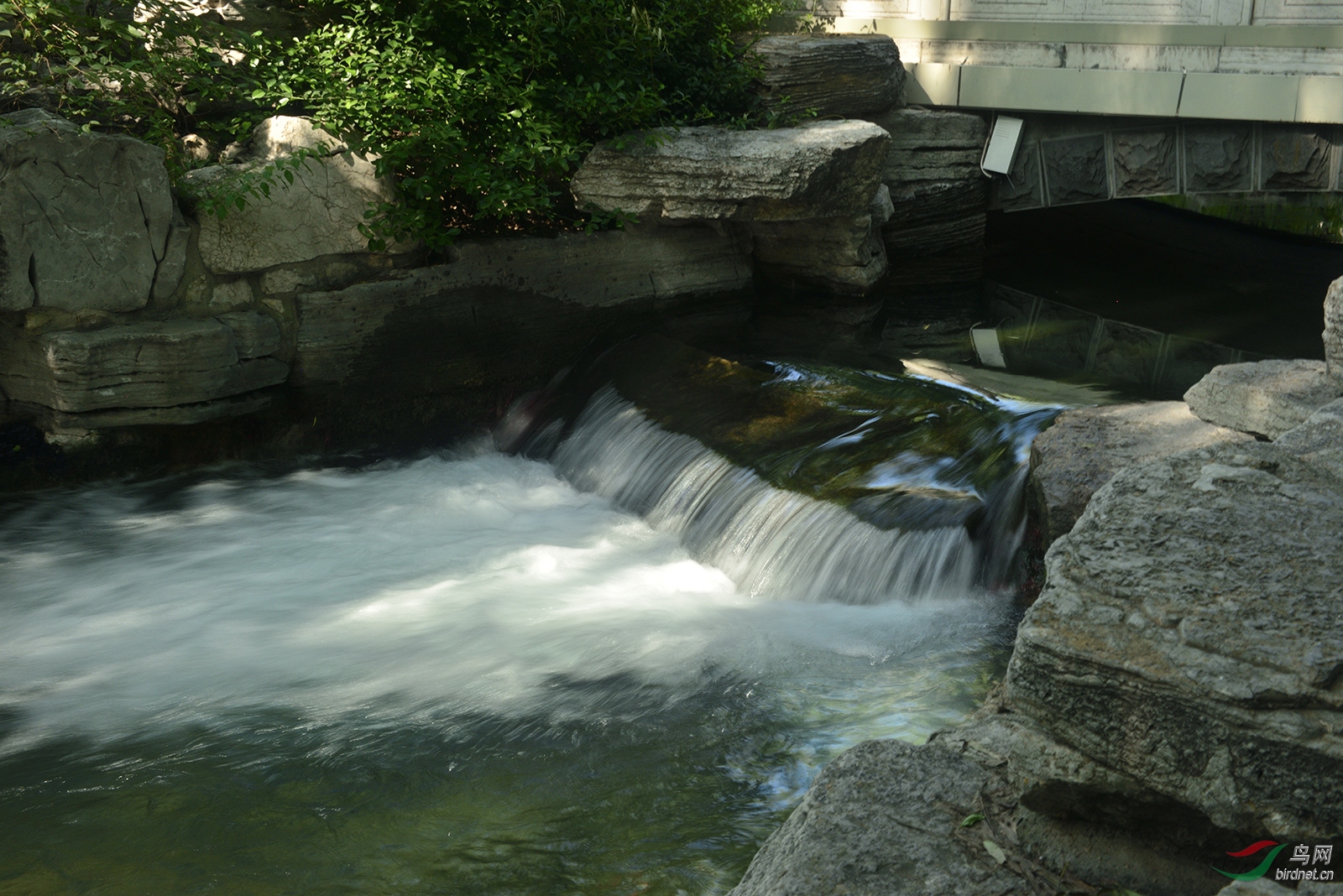 _D8A5910_7901a.jpg