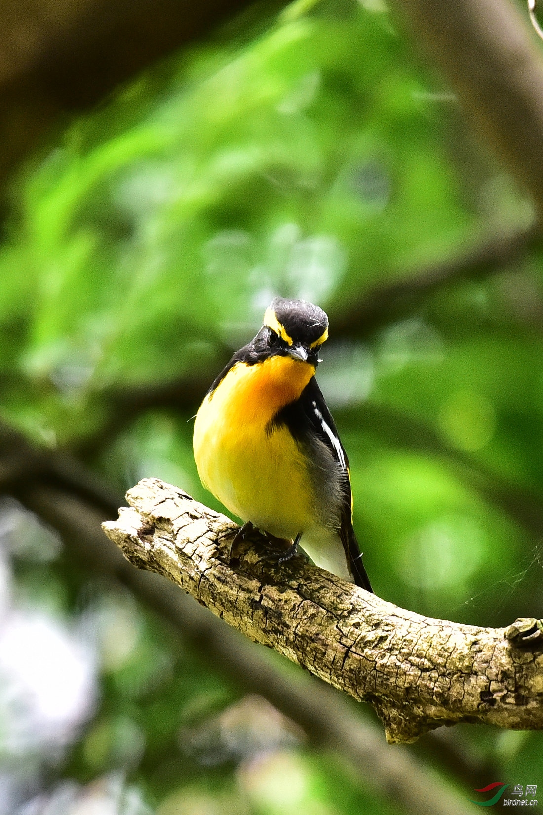 DSC_0782.JPG