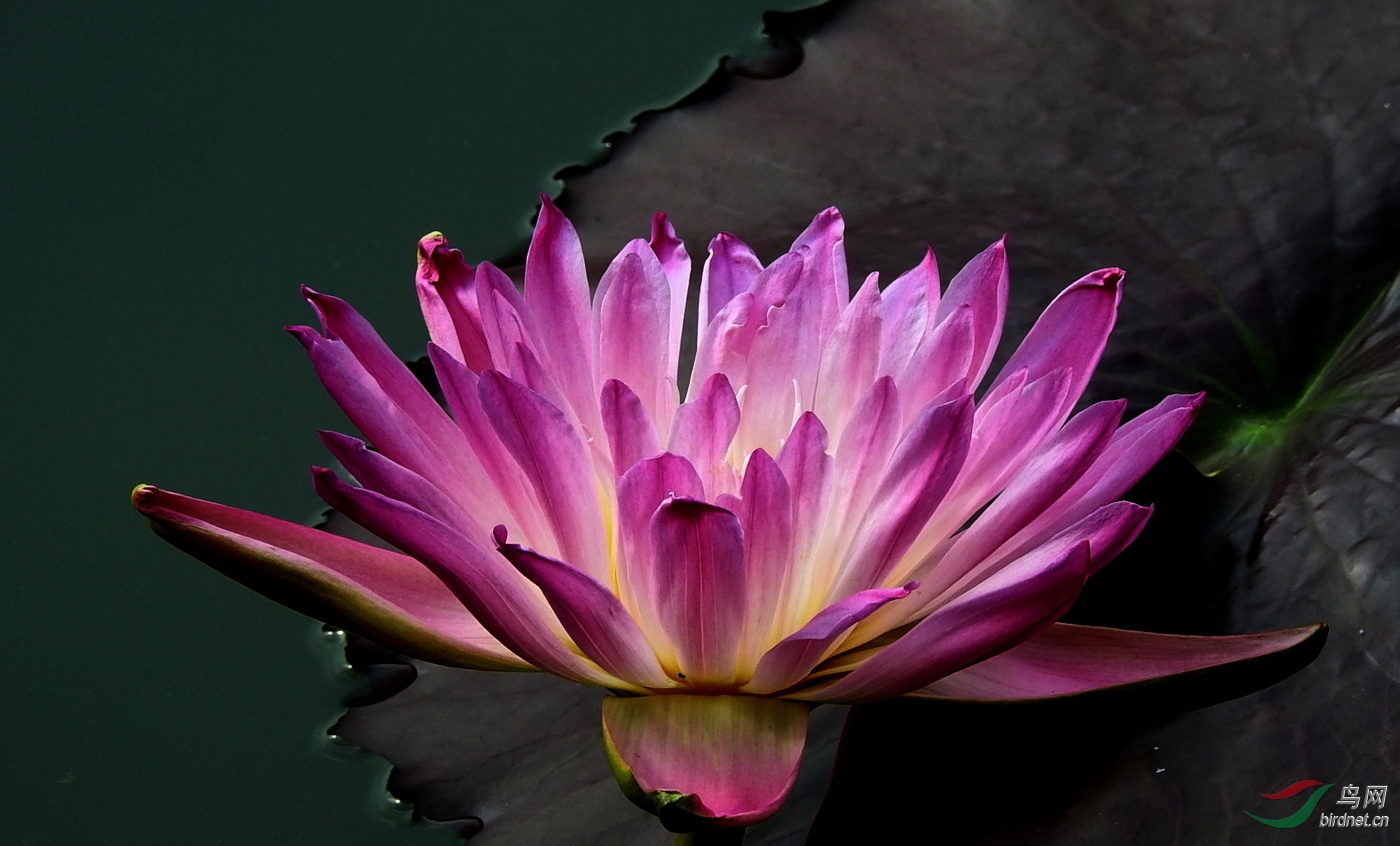 DSCN5013.JPG