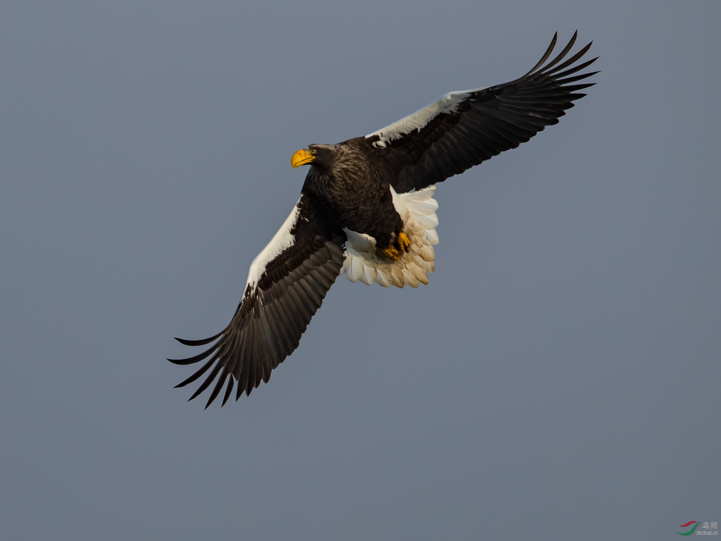BQ4I8674.jpg