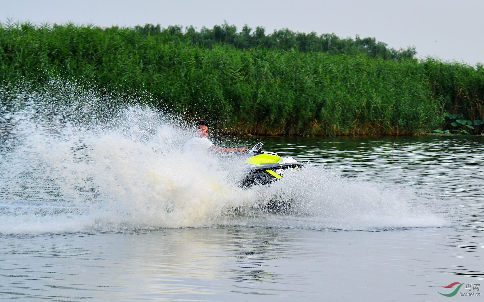 DSC_4195.JPG