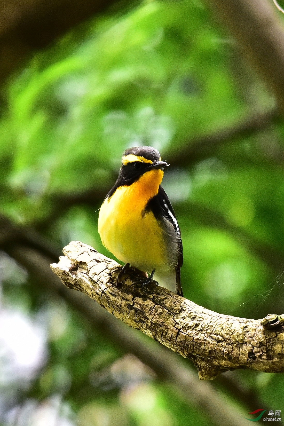 DSC_0783.JPG