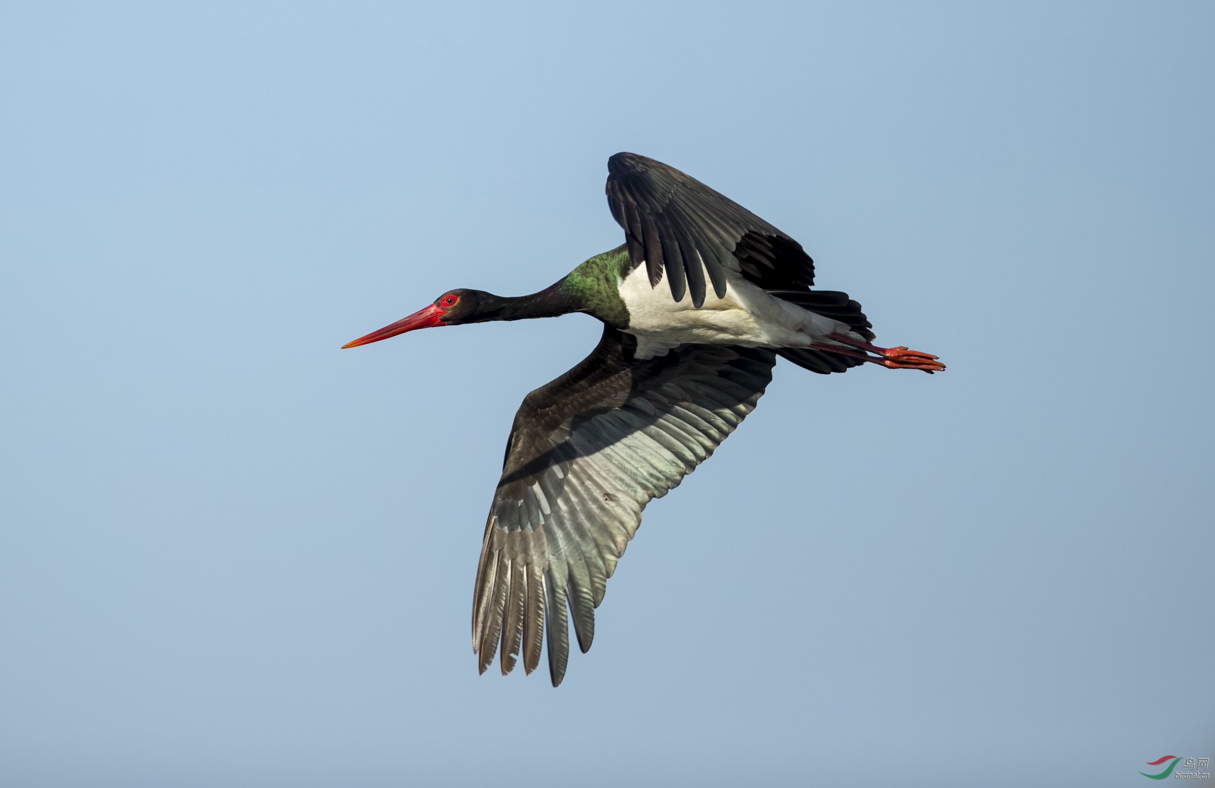 _F4I3164-1�������� ���� �����ٺ���ƽ��ɽ��.JPG