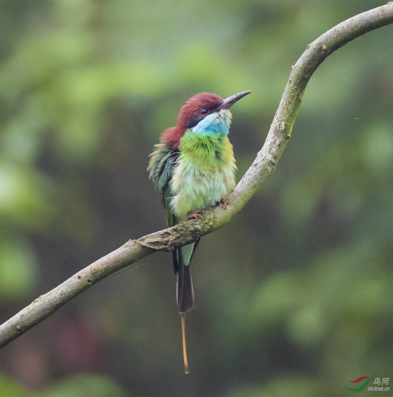 _F4I0111-1_�������� ���� �����Ϻⶫ��.JPG