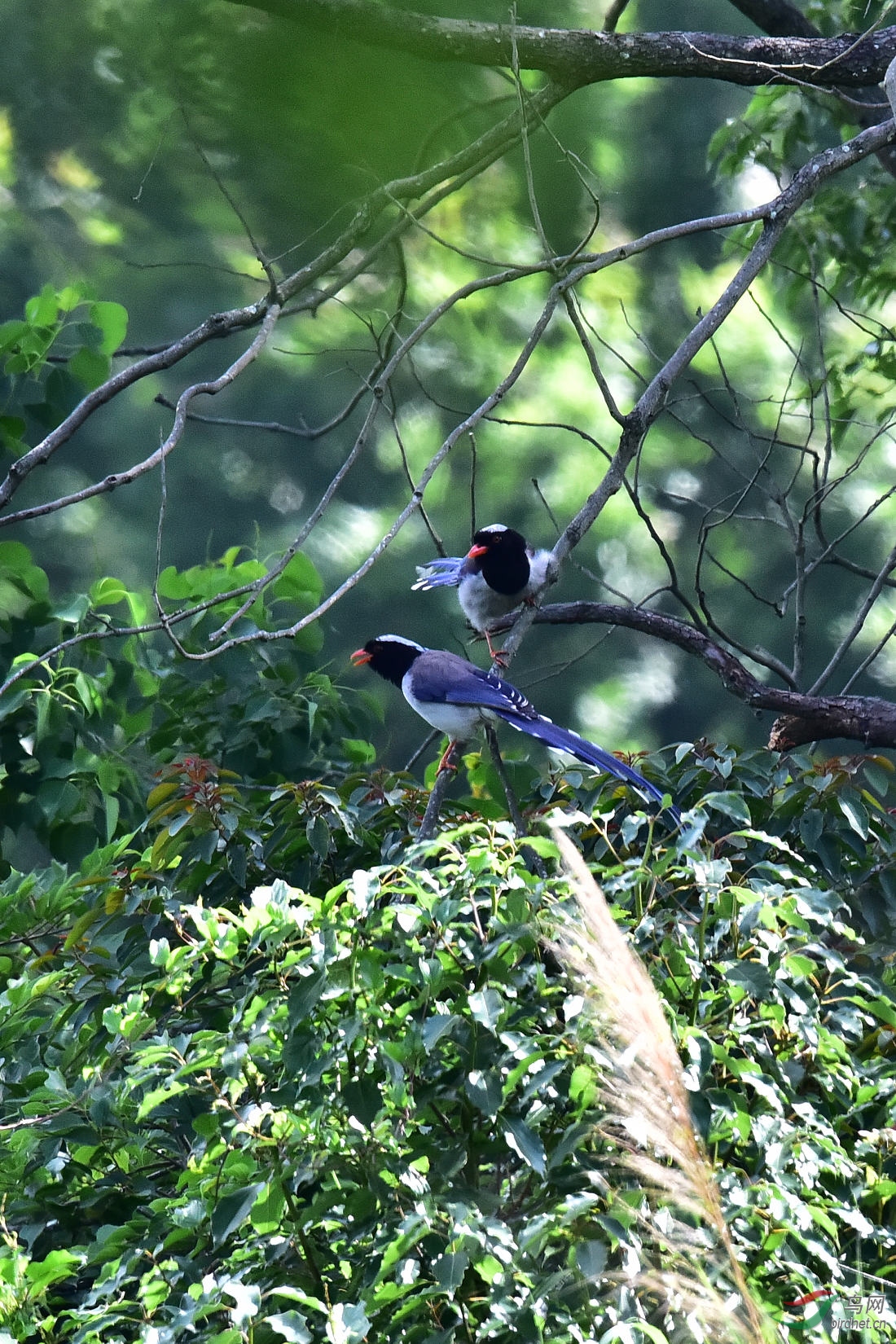 DSC_0001.JPG