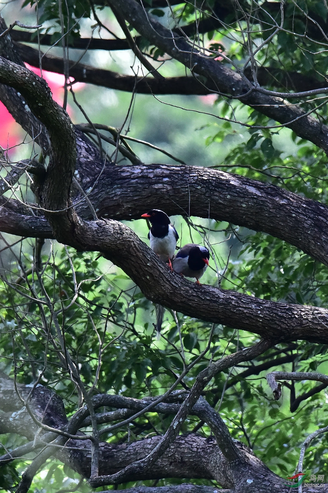 DSC_0005.JPG